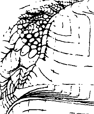 118/118990050000410_1.png
