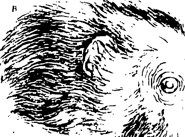 118/118990050000420_0.png