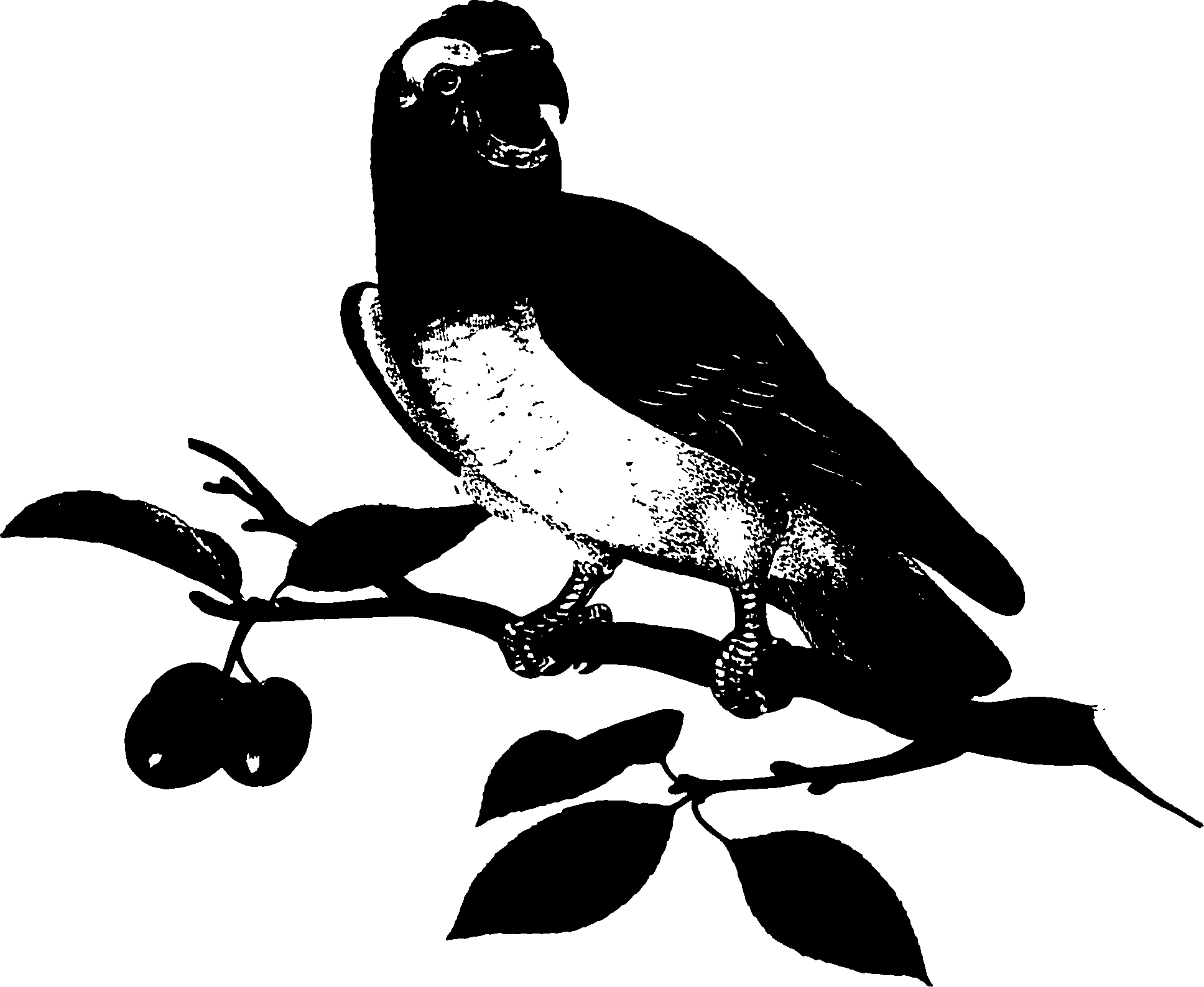 118/118990050000440_0.png