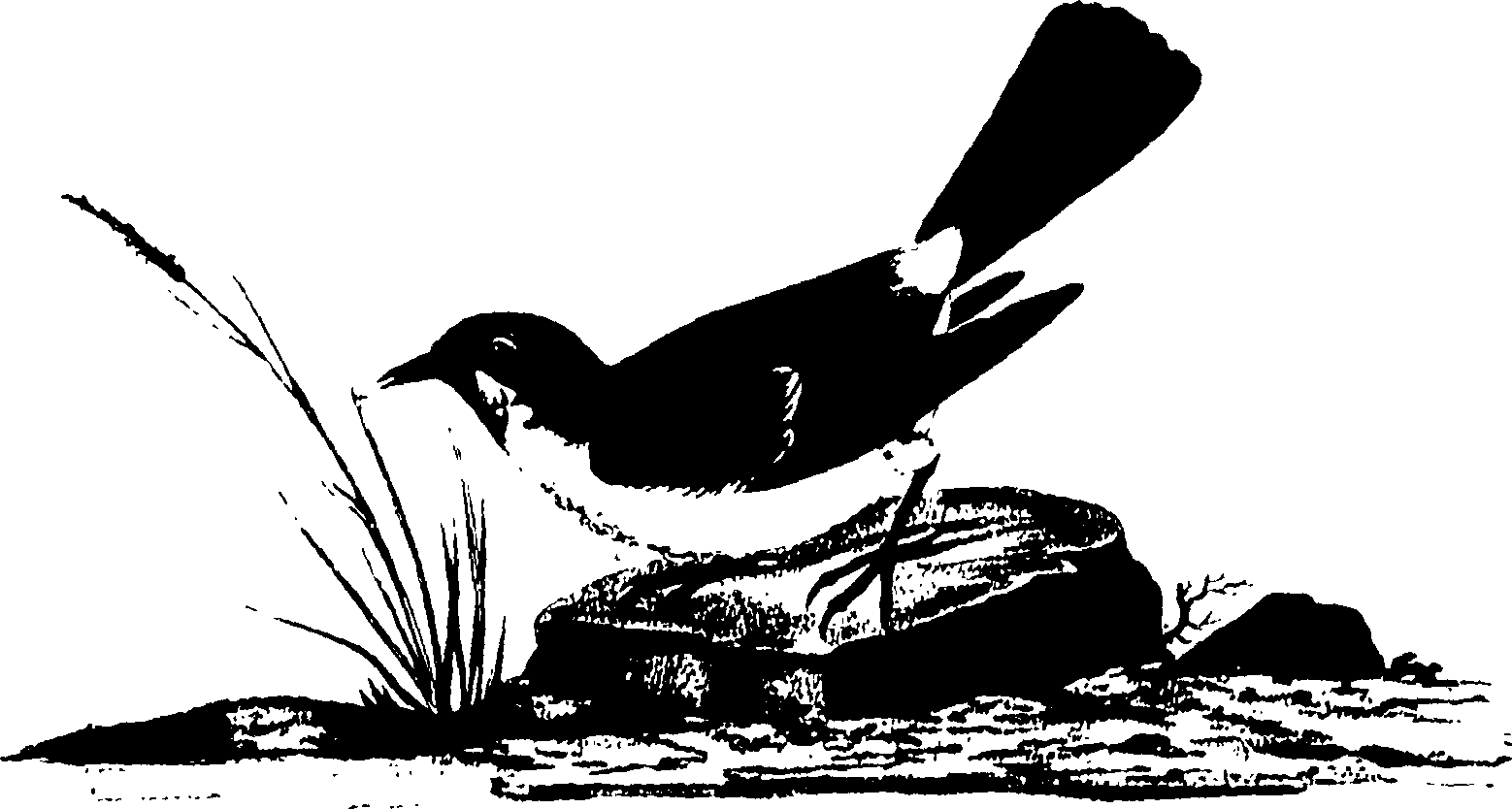 118/118990050000450_0.png