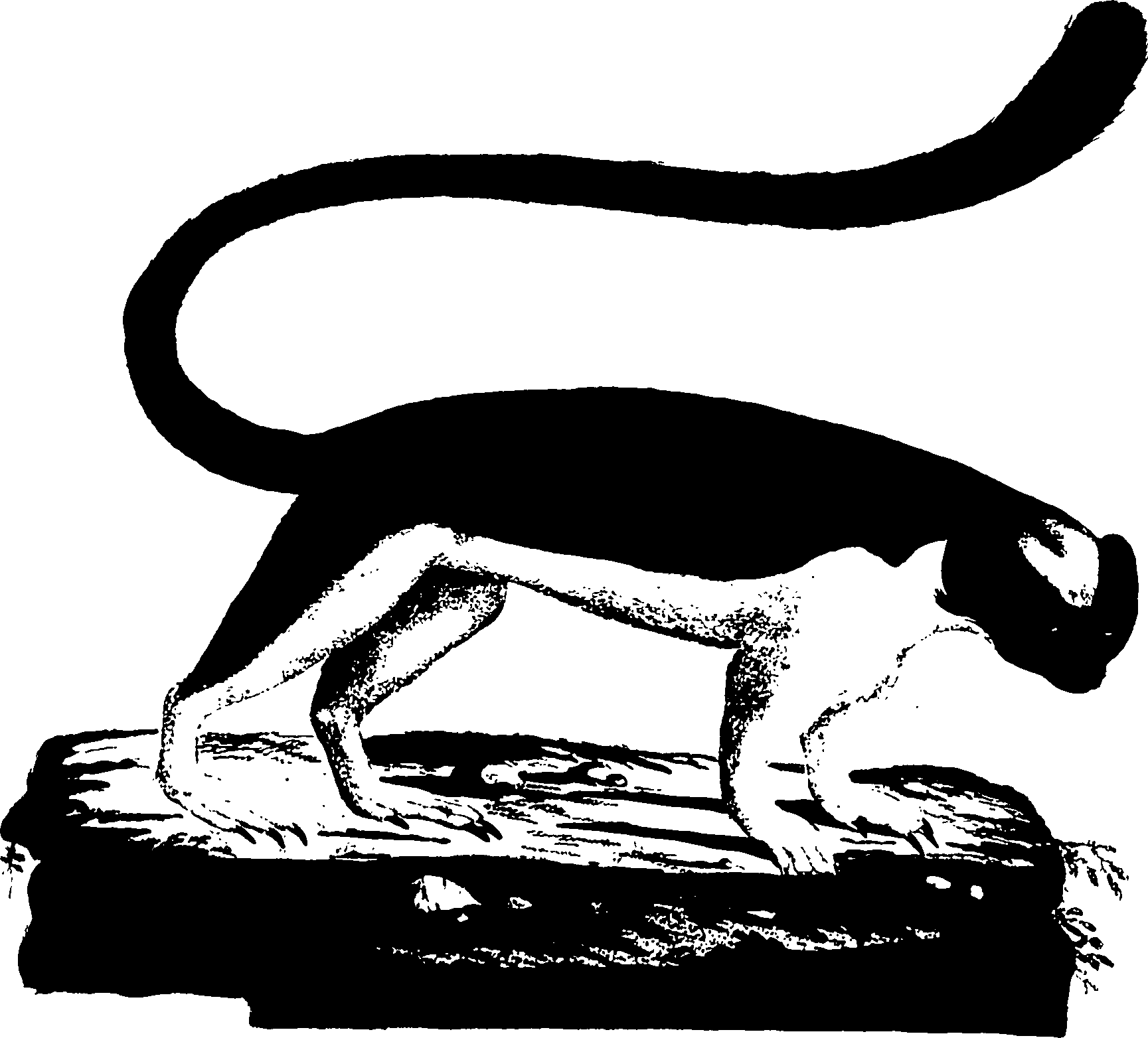118/118990050000470_0.png
