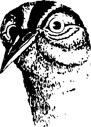 118/118990050000480_0.png