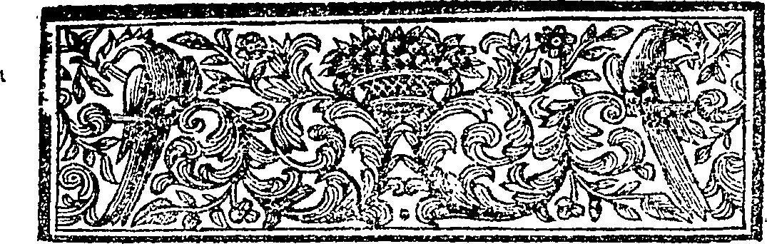 119/119020090000370_1.png