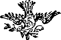 119/119100050002750_0.png