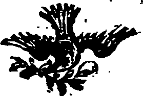 119/119100050002970_0.png