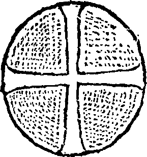 119/119110010300740_0.png