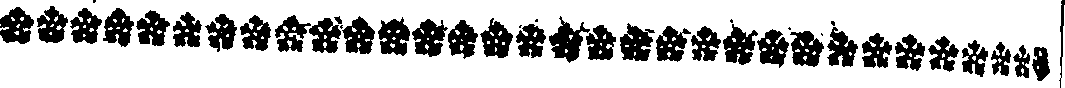 119/119120010402020_1.png