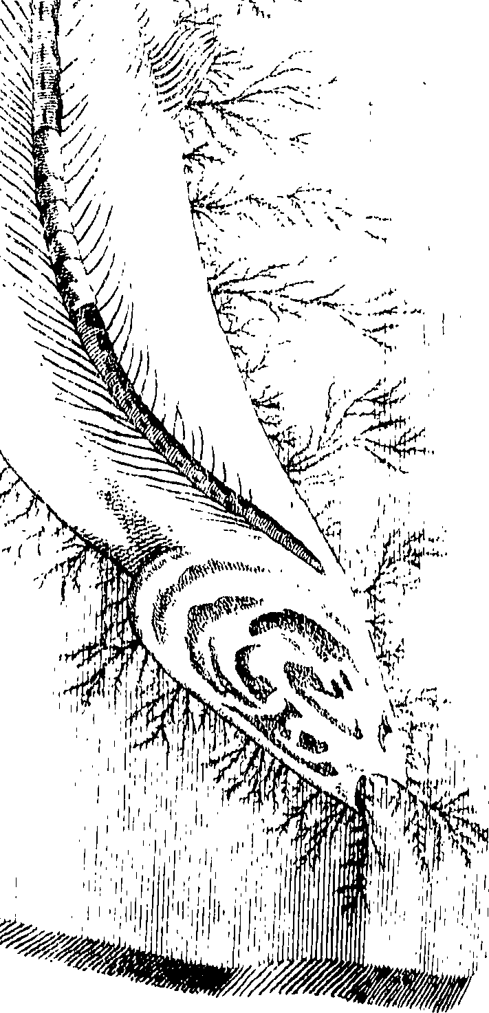 119/119120010402490_0.png