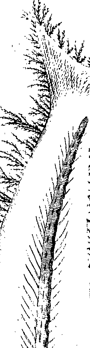 119/119120010402490_1.png