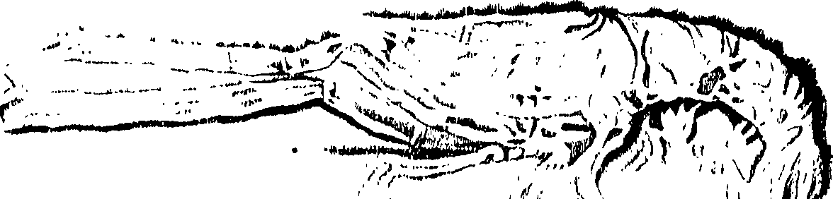119/119120010402500_0.png