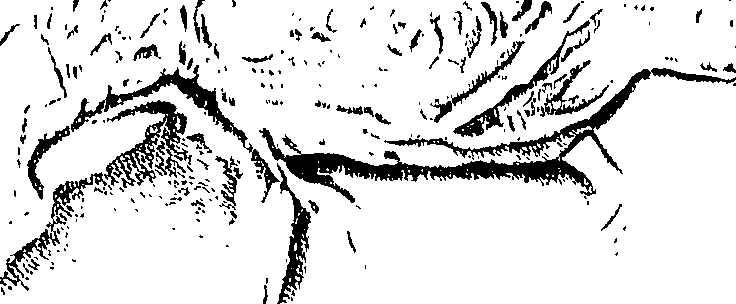 119/119120010402500_1.png