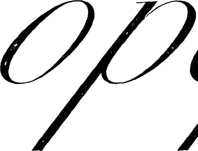 119/119150080000120_1.png