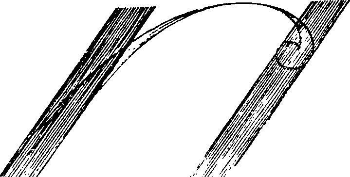 119/119150080000130_1.png