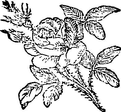 119/119210050001450_0.png