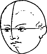 119/119210110000070_2.png