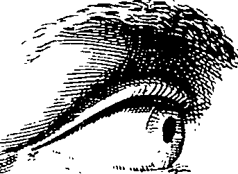 119/119210110000110_1.png