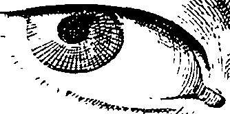 119/119210110000110_2.png