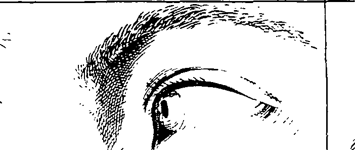 119/119210110000110_3.png