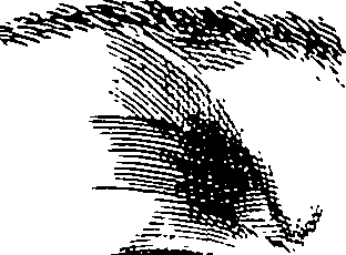 119/119210110000110_5.png