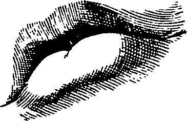 119/119210110000120_0.png
