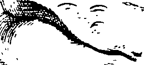 119/119210110000120_1.png