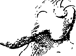 119/119210110000120_3.png
