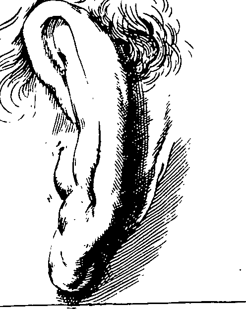 119/119210110000130_0.png