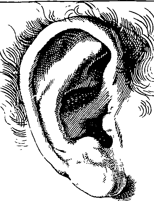 119/119210110000130_1.png