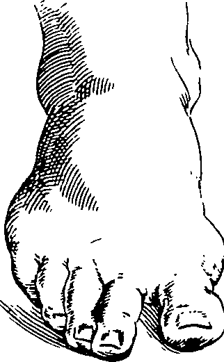 119/119210110000140_2.png