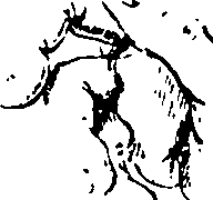 119/119210110000150_0.png