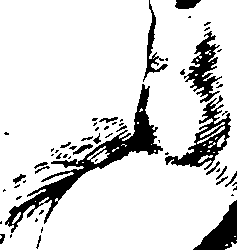 119/119210110000150_1.png