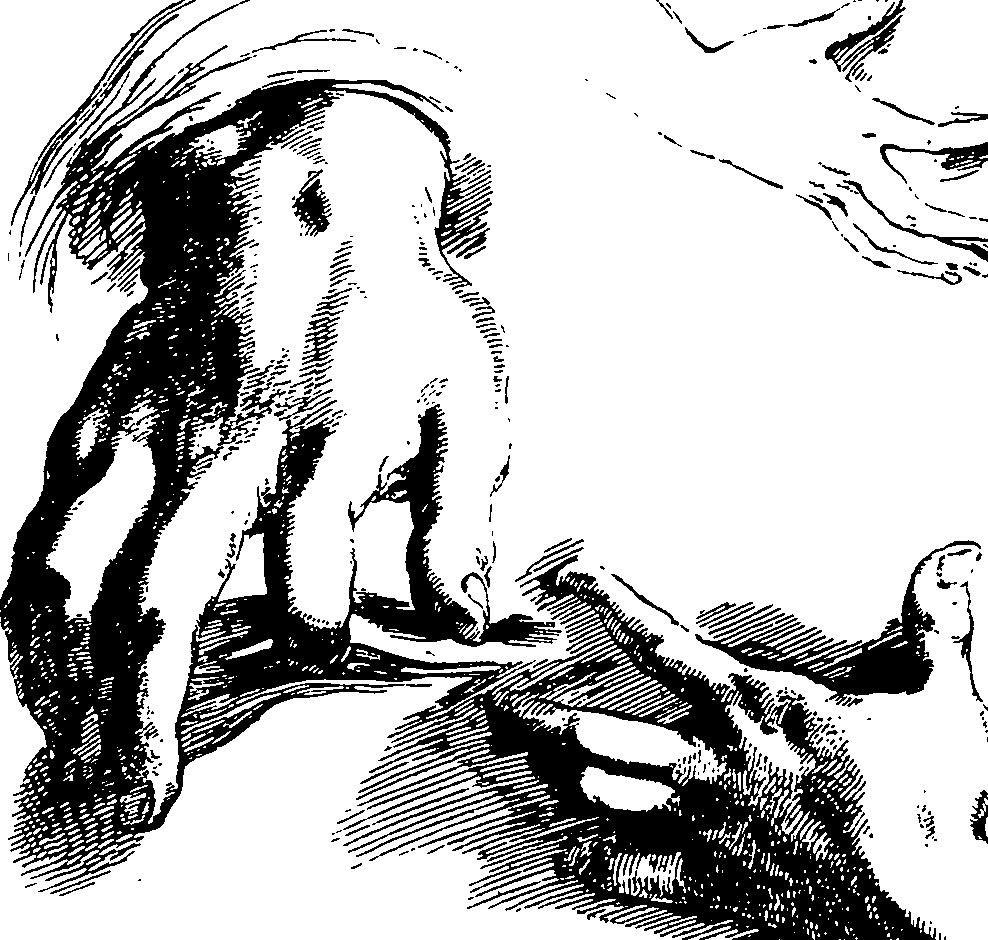 119/119210110000150_2.png