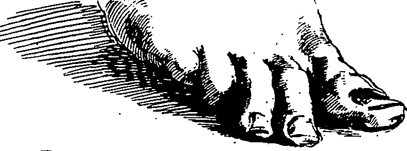 119/119210110000160_0.png