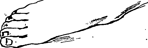 119/119210110000160_2.png
