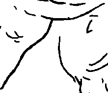 119/119210110000170_1.png