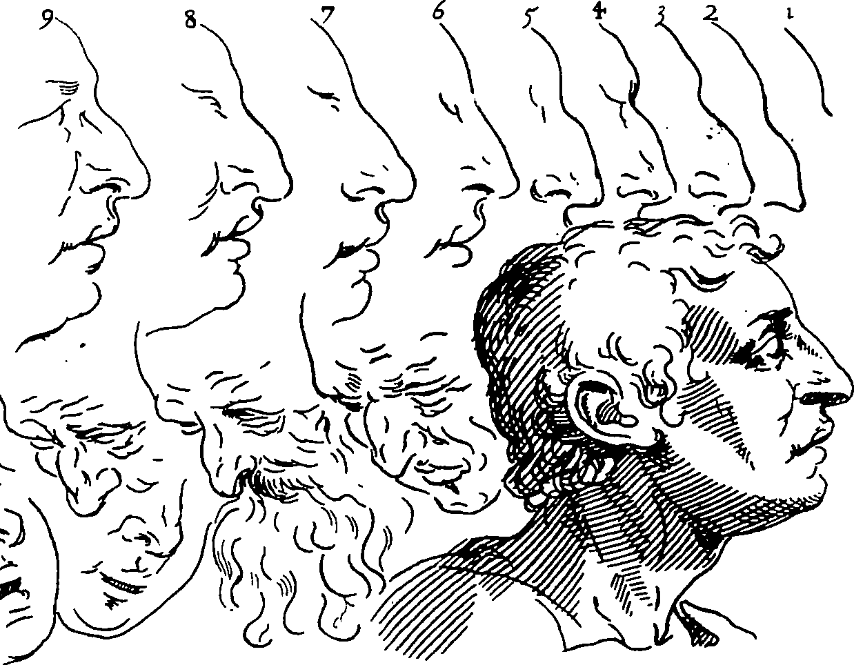 119/119210110000170_2.png