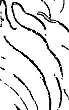 119/119210110000230_1.png