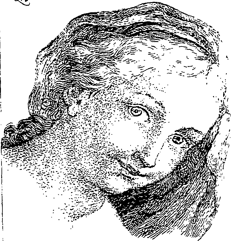 119/119210110000310_1.png