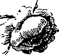 119/119210110000330_6.png