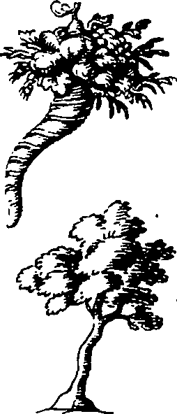 119/119210110000330_7.png