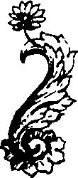 119/119210110000340_0.png