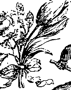 119/119210110000340_1.png