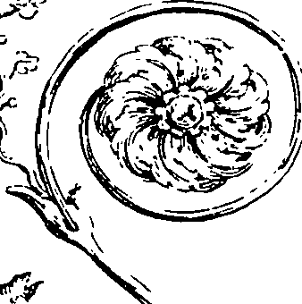119/119210110000340_2.png