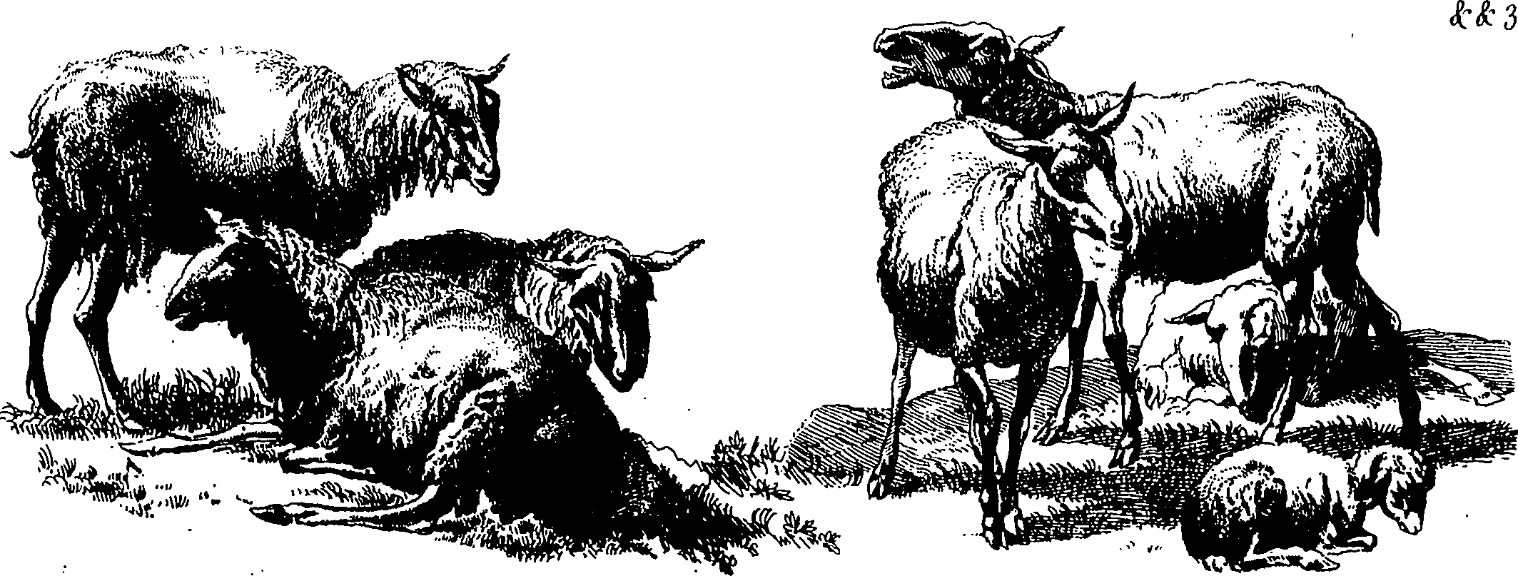 119/119210110000570_1.png