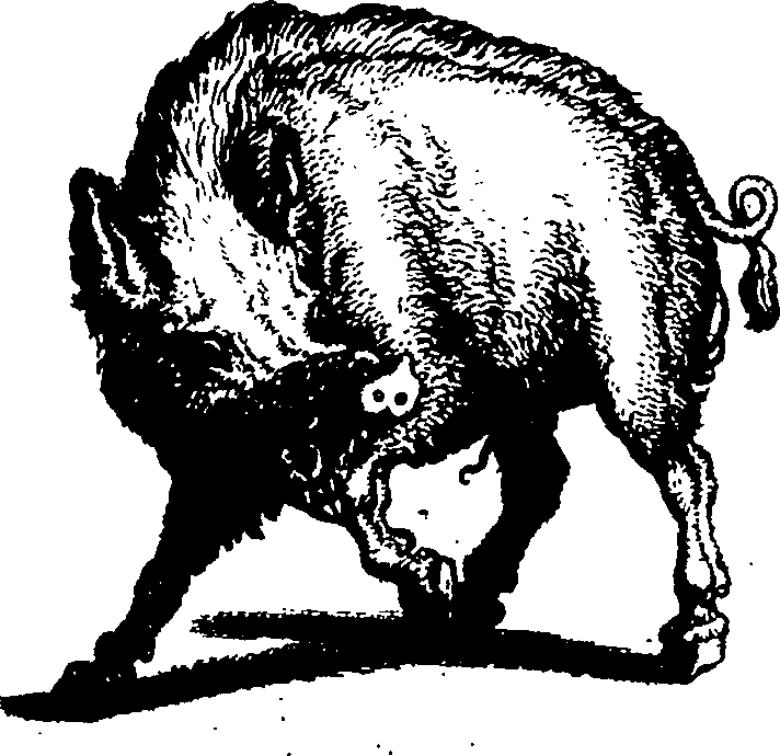 119/119210110000580_0.png