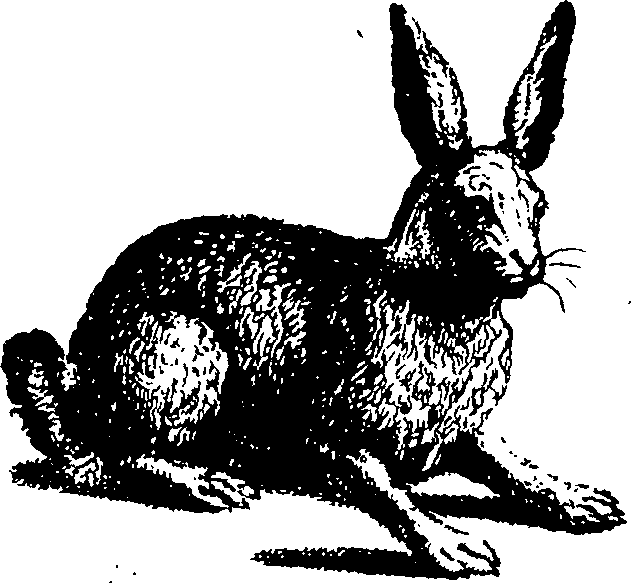 119/119210110000580_1.png