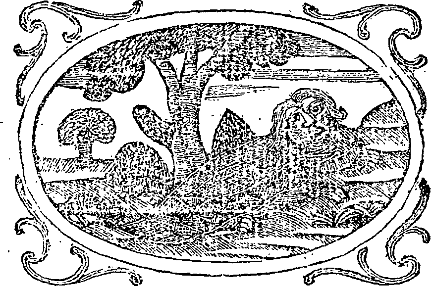 119/119270110000450_0.png