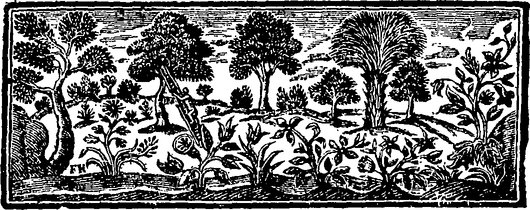 119/119300110000040_1.png