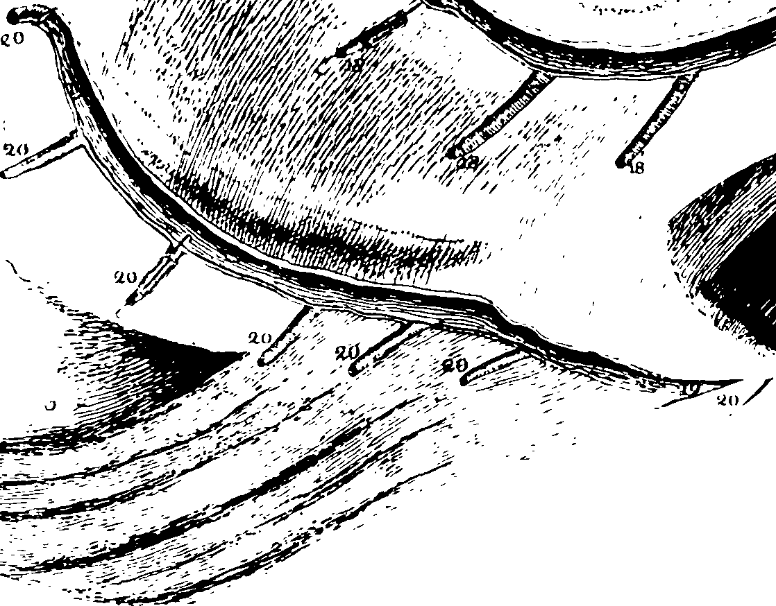 119/119340030000810_0.png