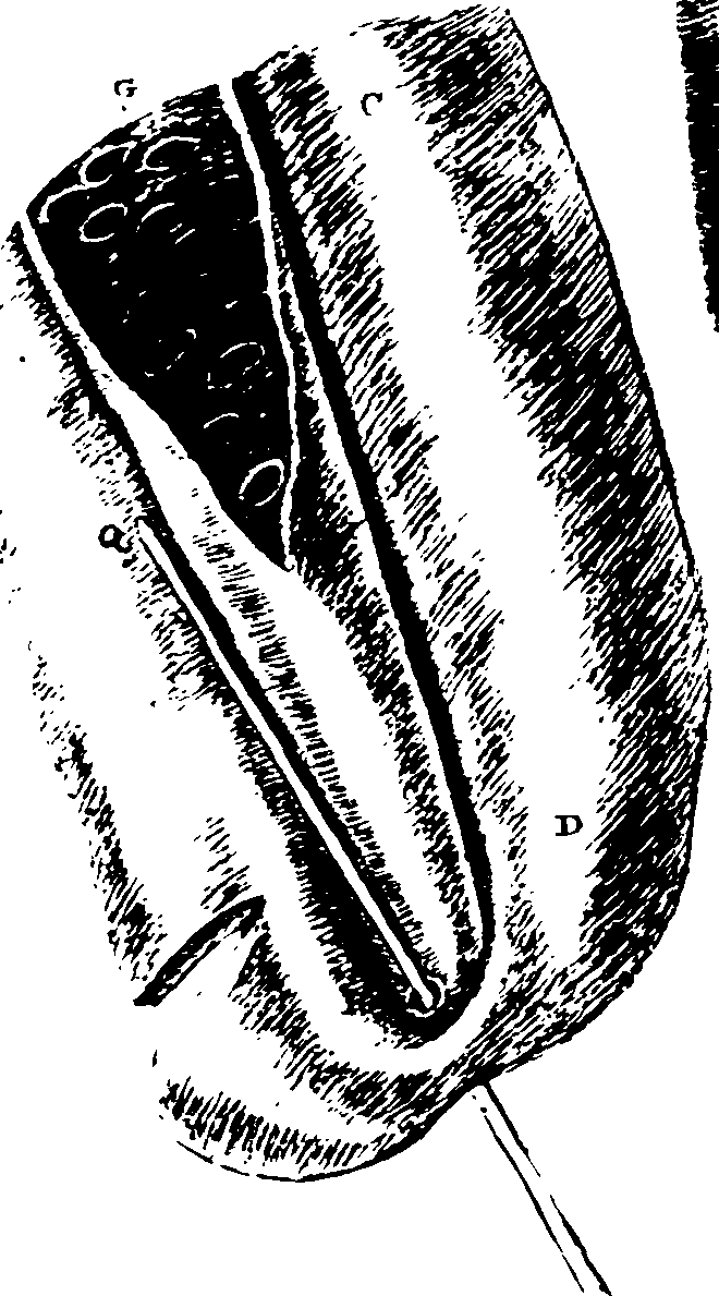 119/119340030000860_0.png